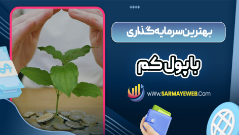 بهترین سرمایه گذاری با پول کم