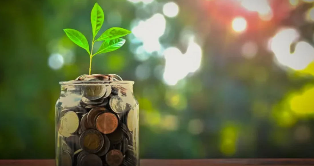 سرمایه گذاری سودآور